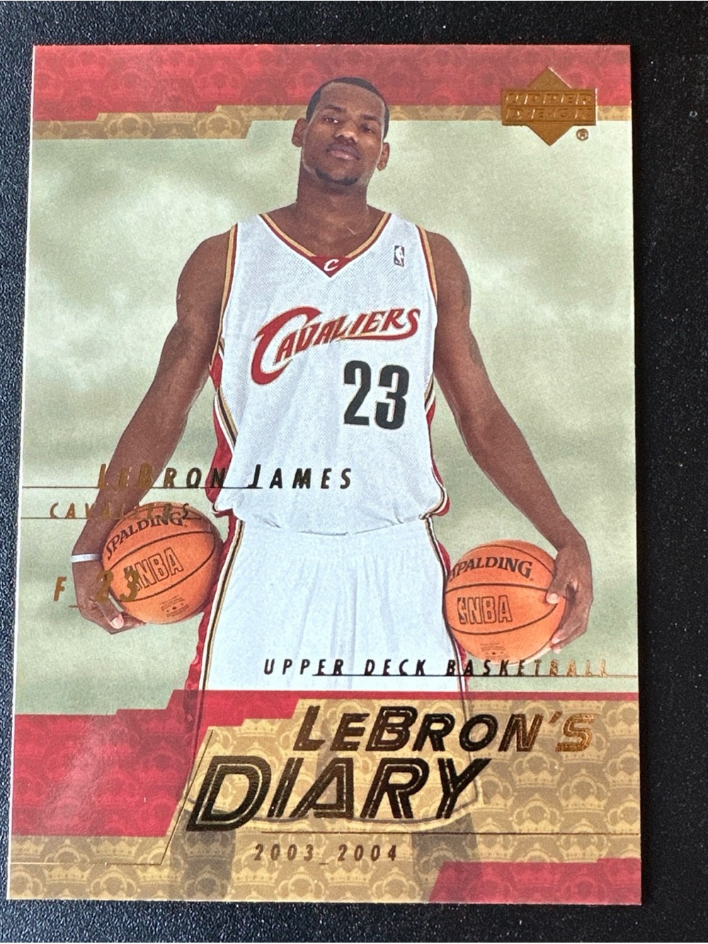 LeBron James Cavaliers Upper Deck "LeBron's Diary" Basketball Card - MINT RARE